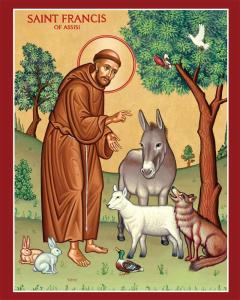 St Francis