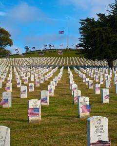 Memorial Day Flags