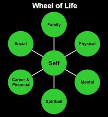 Wheel of Life