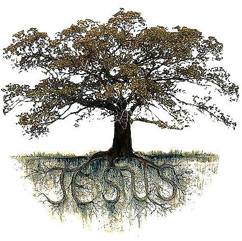 Rooted in Christ