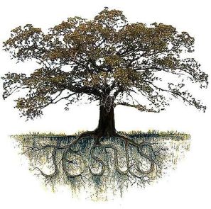 Rooted in Christ
